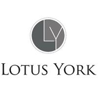 Lotus York image 1